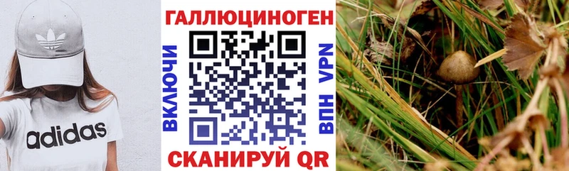 Галлюциногенные грибы MAGIC MUSHROOMS  ОМГ ОМГ ТОР  Шумерля 