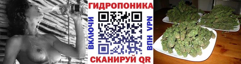 Канабис ГИДРОПОН  Шумерля 
